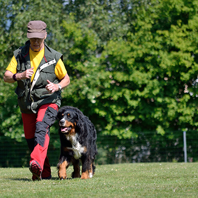 Training - Hund - Mensch - Team